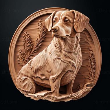 3D model Appenzeller sennenhund dog (STL)